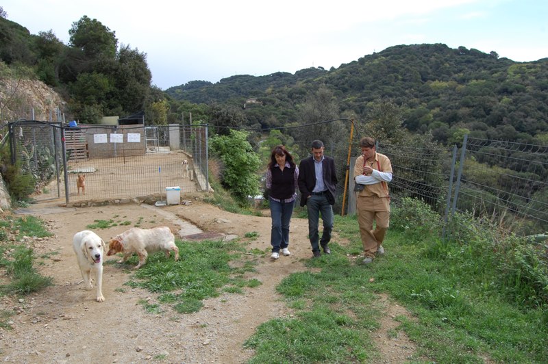 L'alcalde visita el refugi d'animals