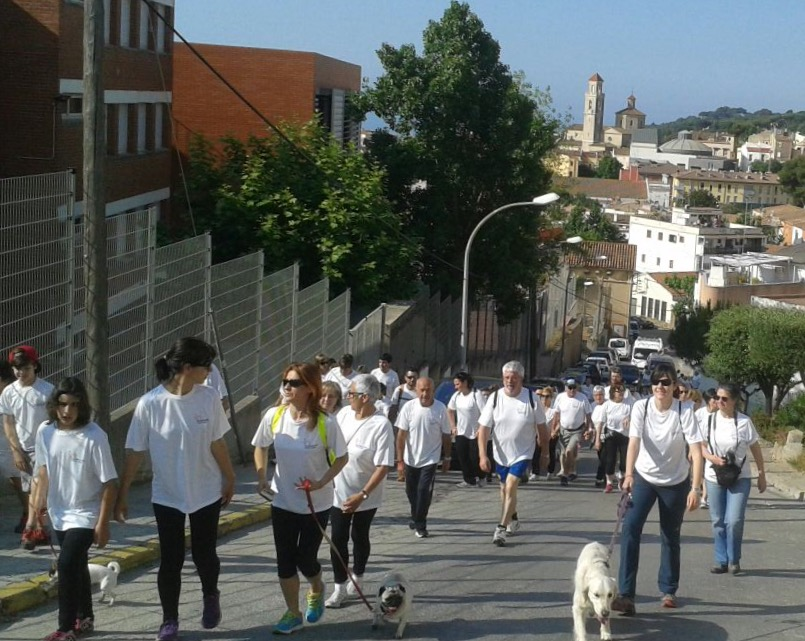 Caminada contra el càncer