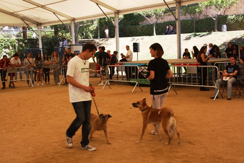 Demo Can Boix