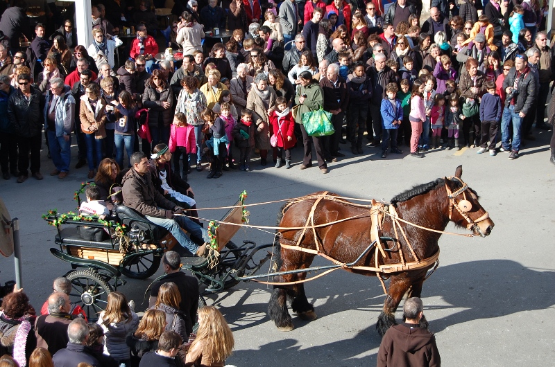 Sant Antoni Abat