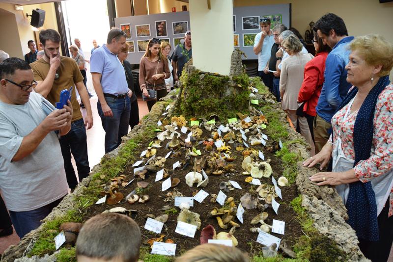 Mostra de bolets de la Fira del Bolet 2017