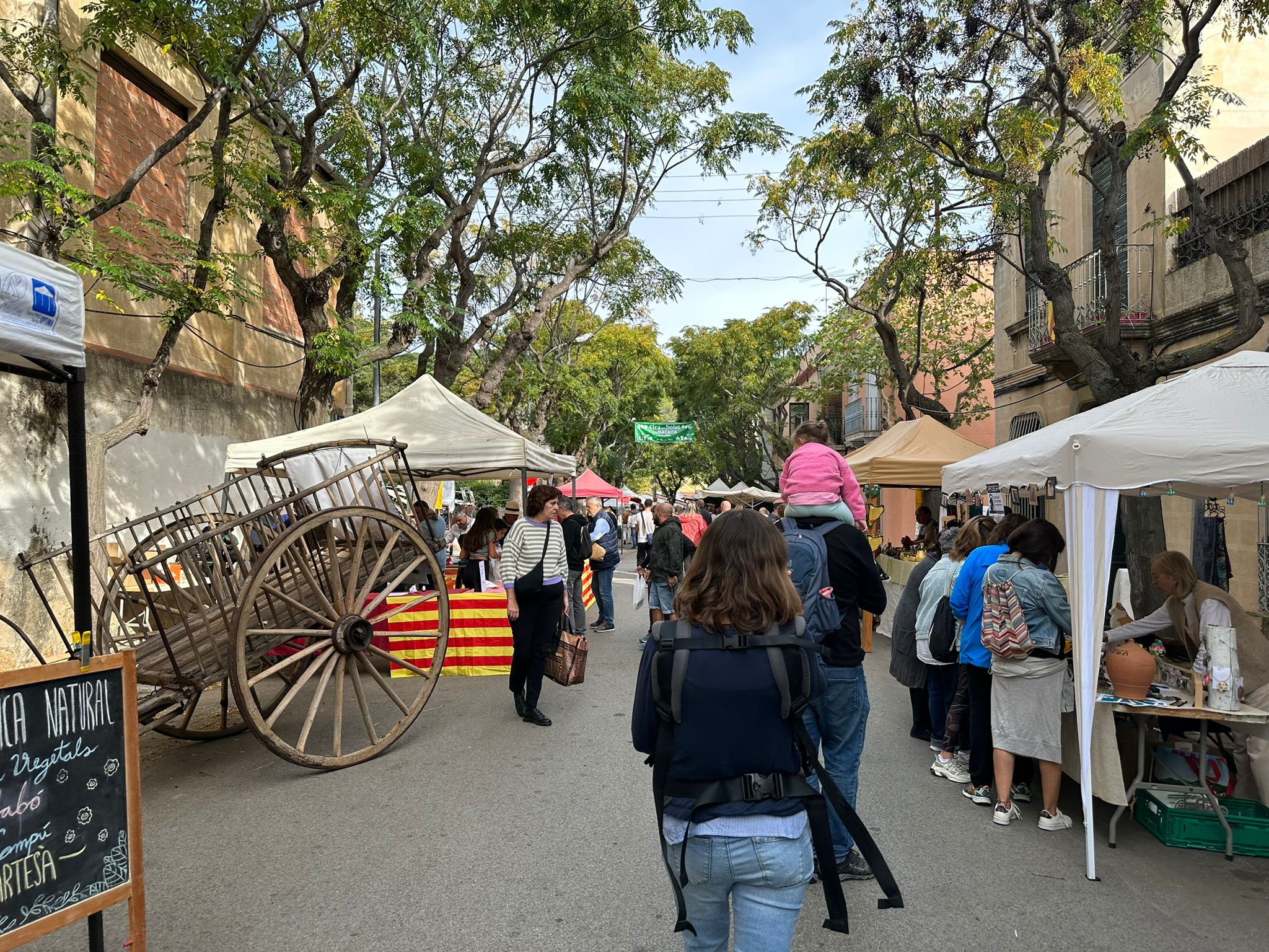 Fira del Bolet i Open House