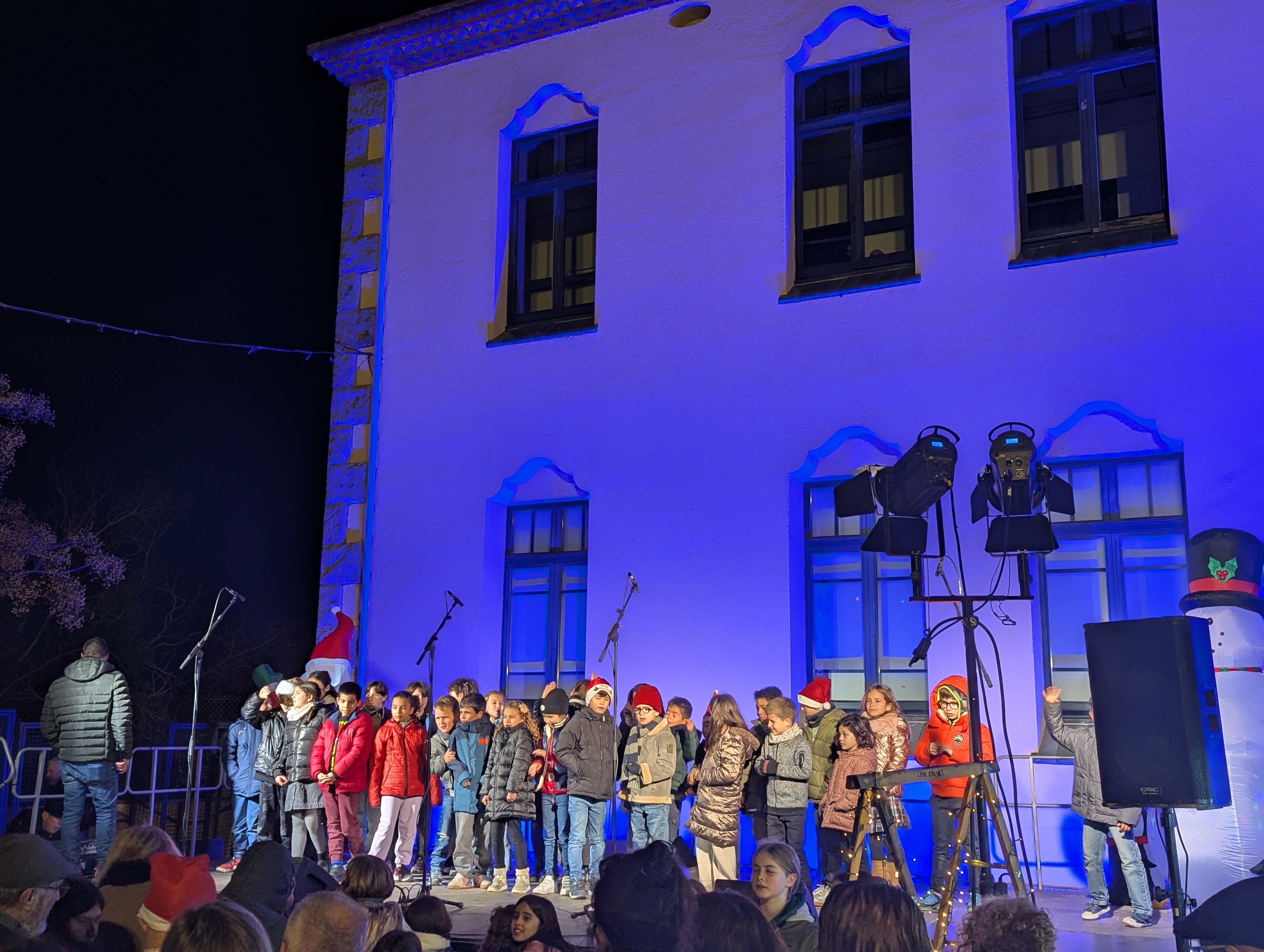 Fira de Santa Llúcia de Can Salvet