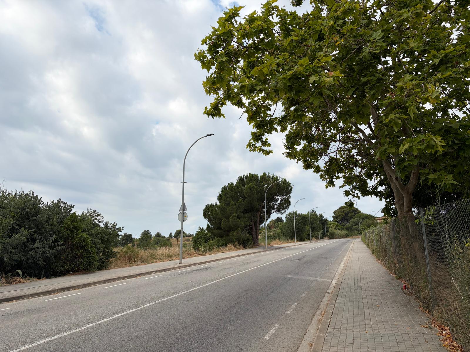 L'Ajuntament renova el paviment de diferents vials del municipi 